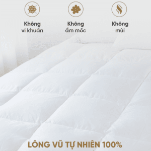 Tấm topper lông vũ tự nhiên