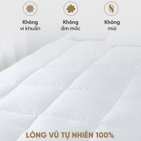 Tấm topper lông vũ tự nhiên