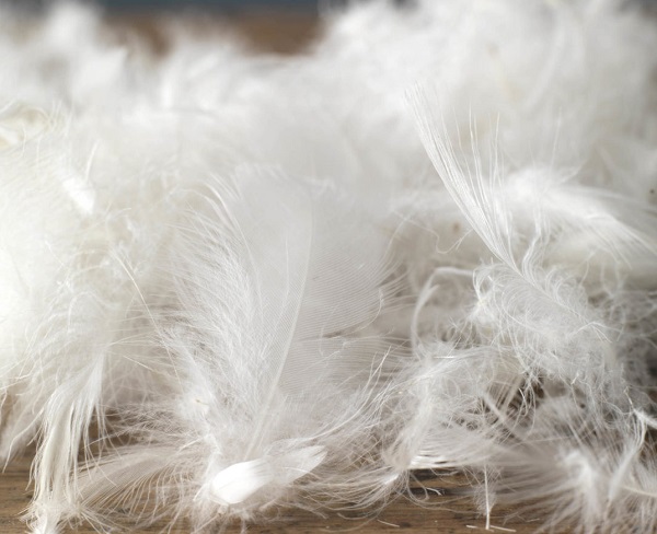 chăn lông vũ cao cấp